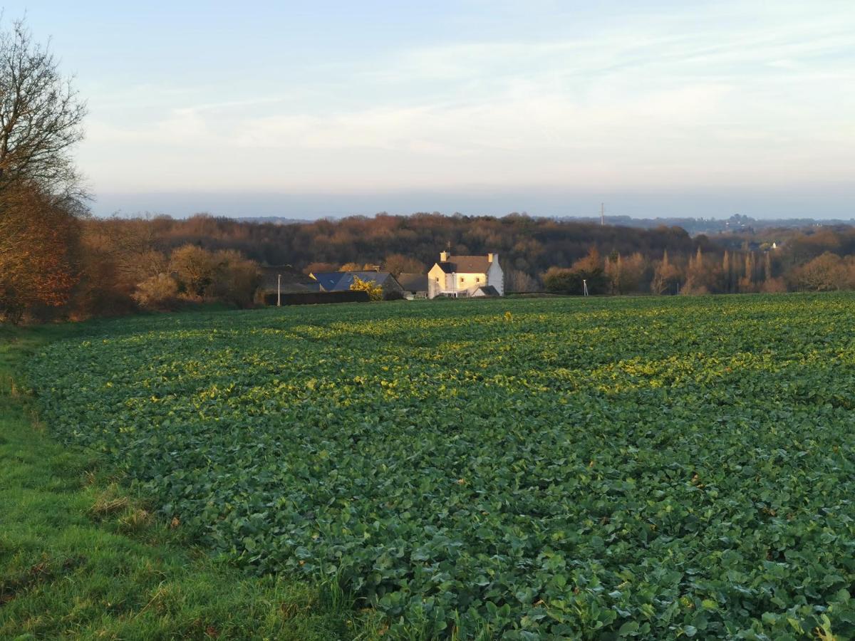 Les Gites De L'Hermine Plouigneau Exterior foto